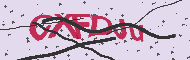Code captcha
