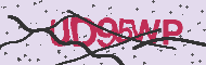 Code captcha