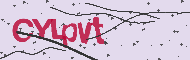 Code captcha
